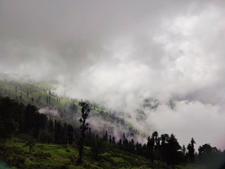 clouds rolling down through the pines